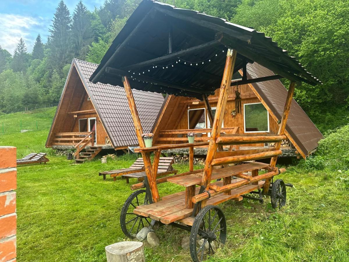 Vila Cabanutze Satic Rucăr Exteriér fotografie