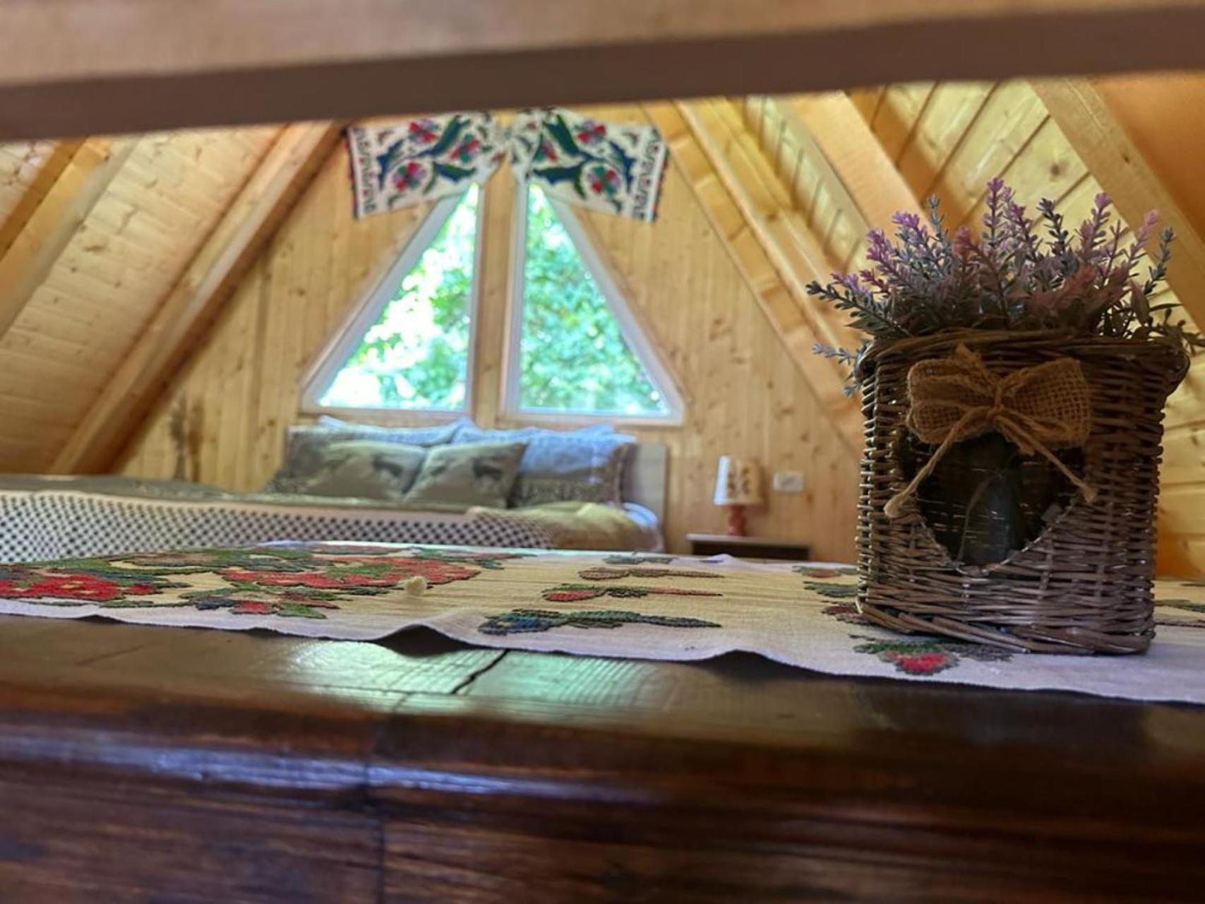 Vila Cabanutze Satic Rucăr Exteriér fotografie