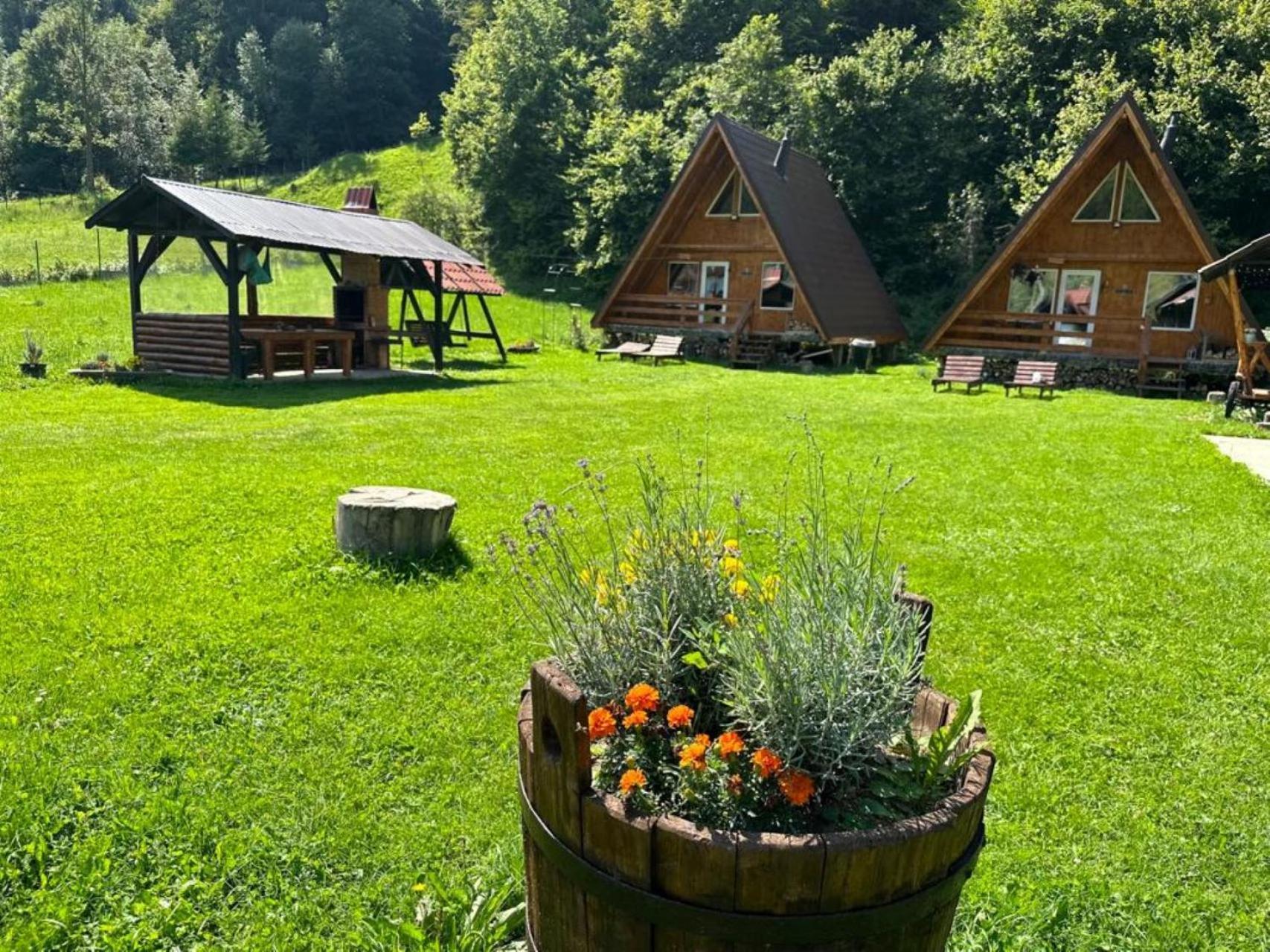 Vila Cabanutze Satic Rucăr Exteriér fotografie