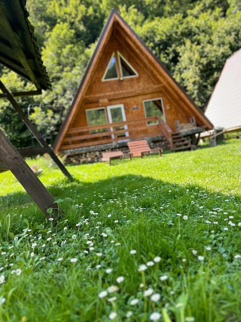 Vila Cabanutze Satic Rucăr Exteriér fotografie