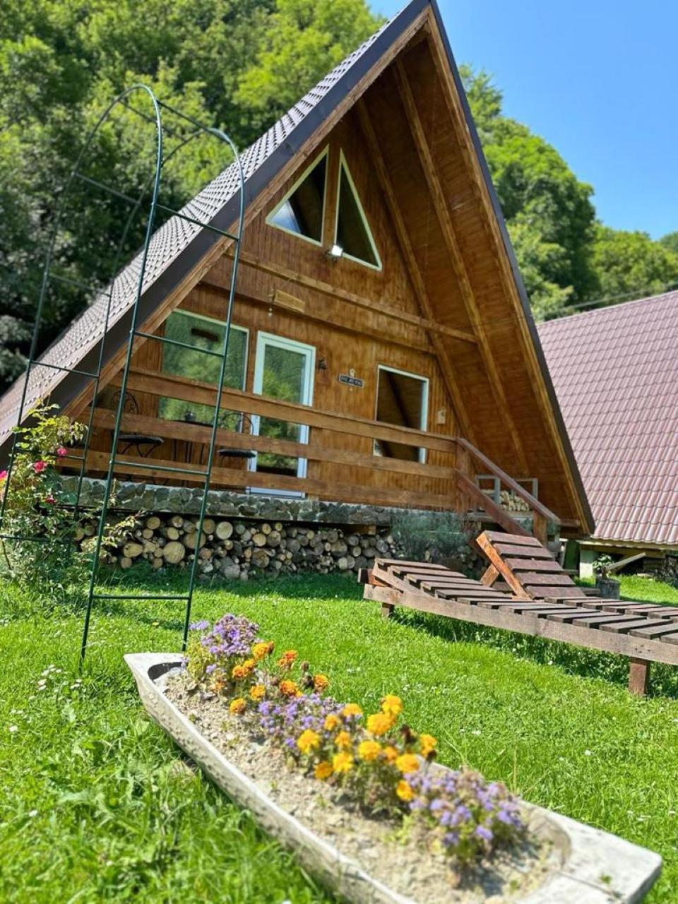Vila Cabanutze Satic Rucăr Exteriér fotografie