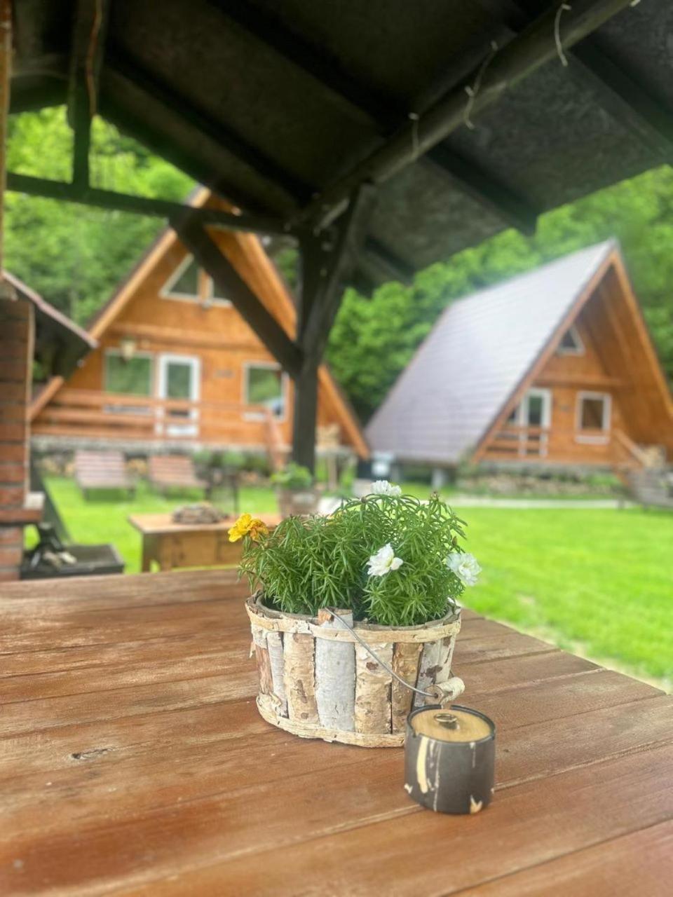 Vila Cabanutze Satic Rucăr Exteriér fotografie