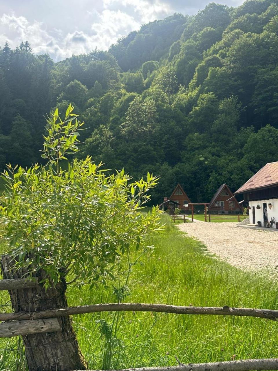 Vila Cabanutze Satic Rucăr Exteriér fotografie