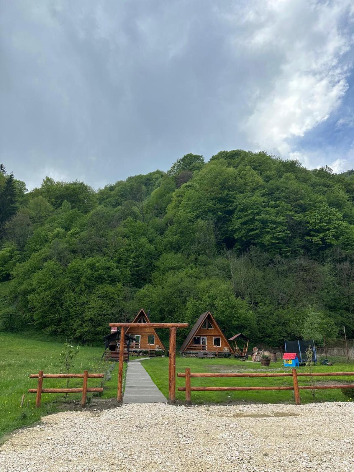 Vila Cabanutze Satic Rucăr Exteriér fotografie